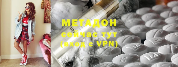 молекула духа Новозыбков