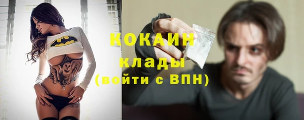 молекула духа Новозыбков