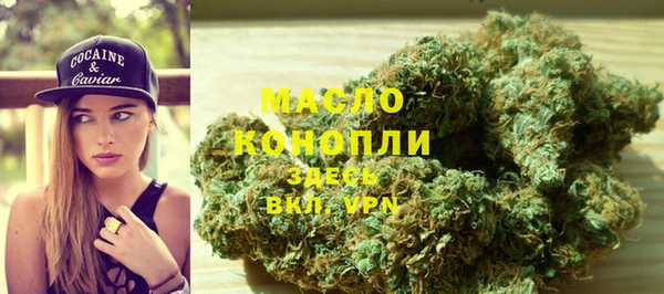 молекула духа Новозыбков