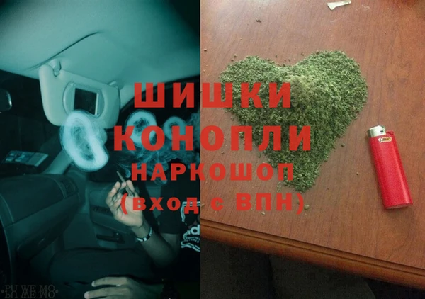 молекула духа Новозыбков