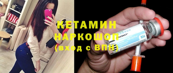 молекула духа Новозыбков